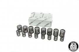 Valve springs Schrick G60