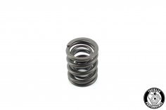 Valve springs Schrick G60