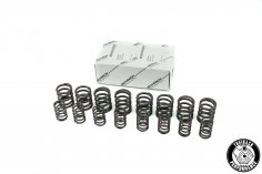 Valve springs Schrick G60