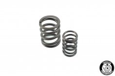 Valve springs Schrick G60